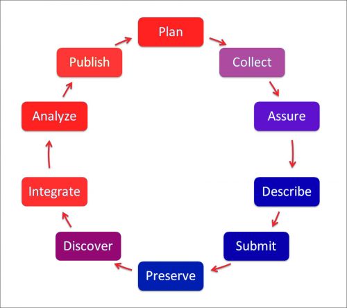 Research Data Infrastructure Development: The Pros and Cons of User ...