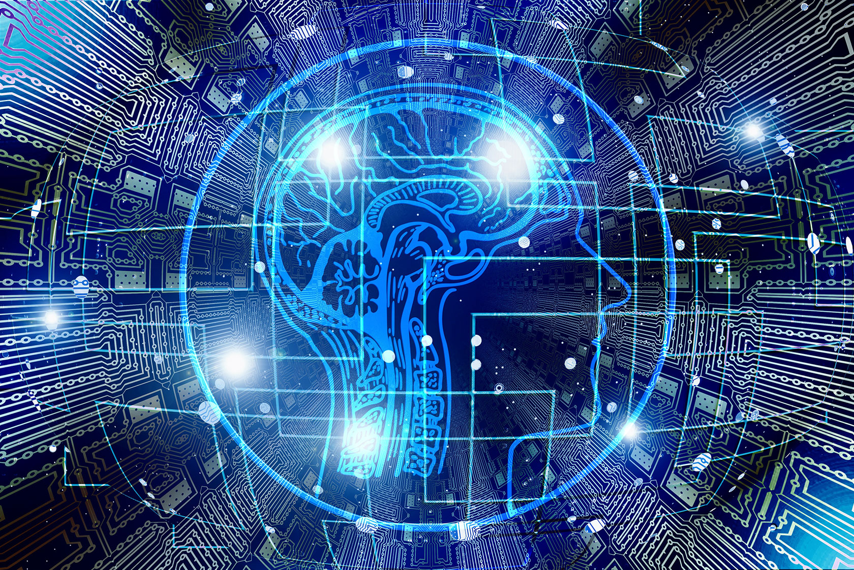 Künstliche Intelligenz: Neue Perspektiven für Citizen Science ...
